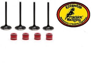 TRX400EX Valve Kits - Dune Goons