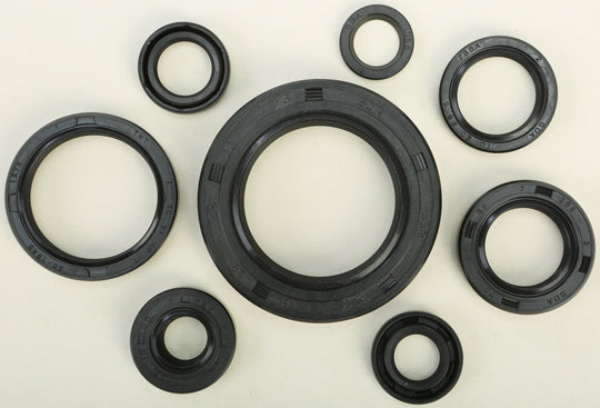 Vertex Engine Oil Seal Kit 822110
