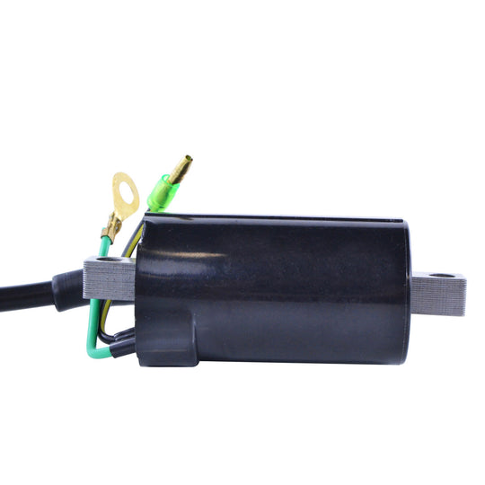 RM Stator External Ignition Coils