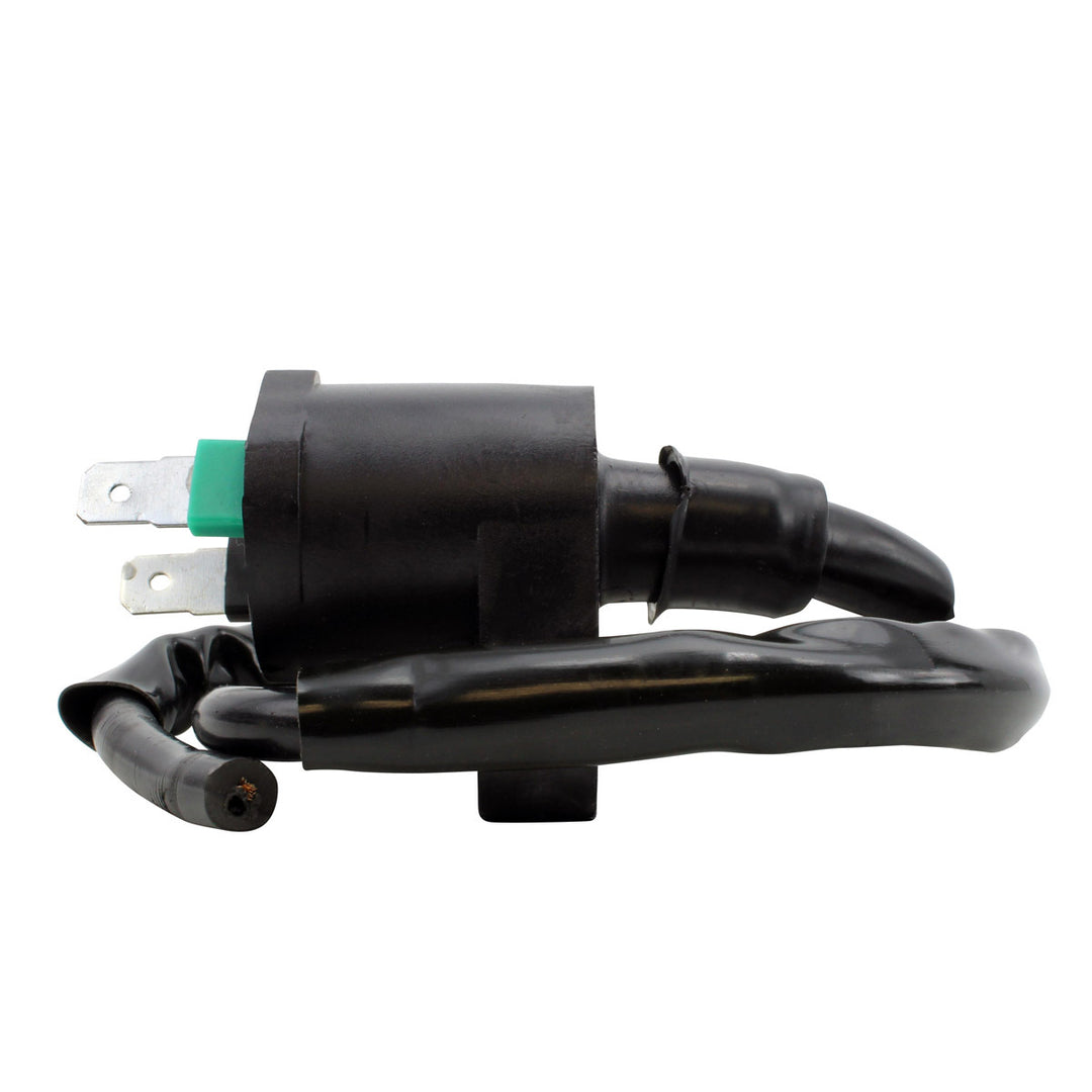 RM Stator External Ignition Coils