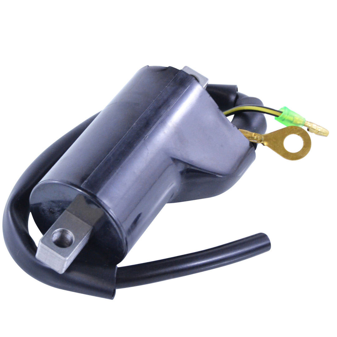 RM Stator External Ignition Coils