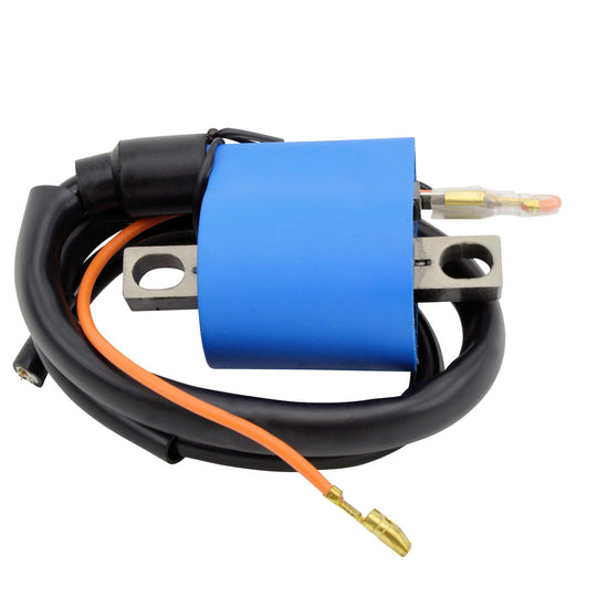 RM Stator External Ignition Coil
