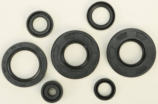 Vertex Engine Oil Seal Kit 822291
