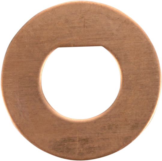 Cycle Craft Friction Washers 10 Pack - Honda ATC200 1980-1983