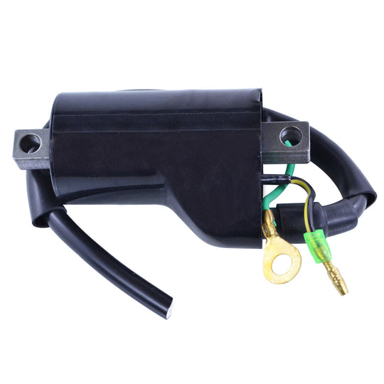 RM Stator External Ignition Coils