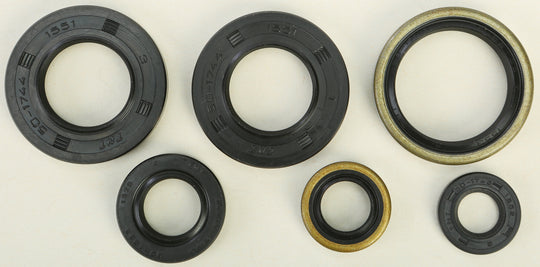 Vertex Engine Oil Seal Kit 822185