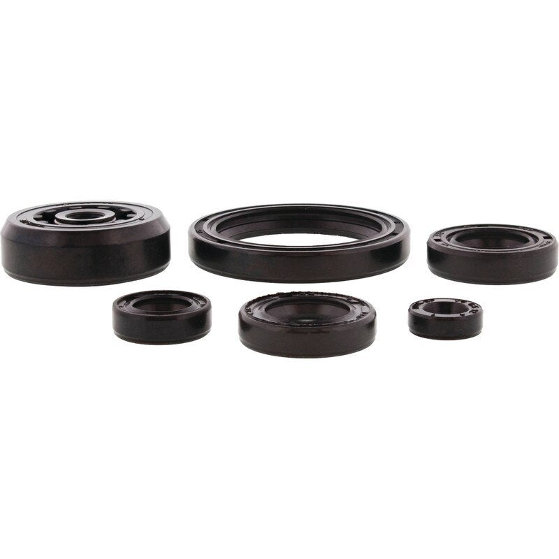 Vertex Engine Oil Seal Kit