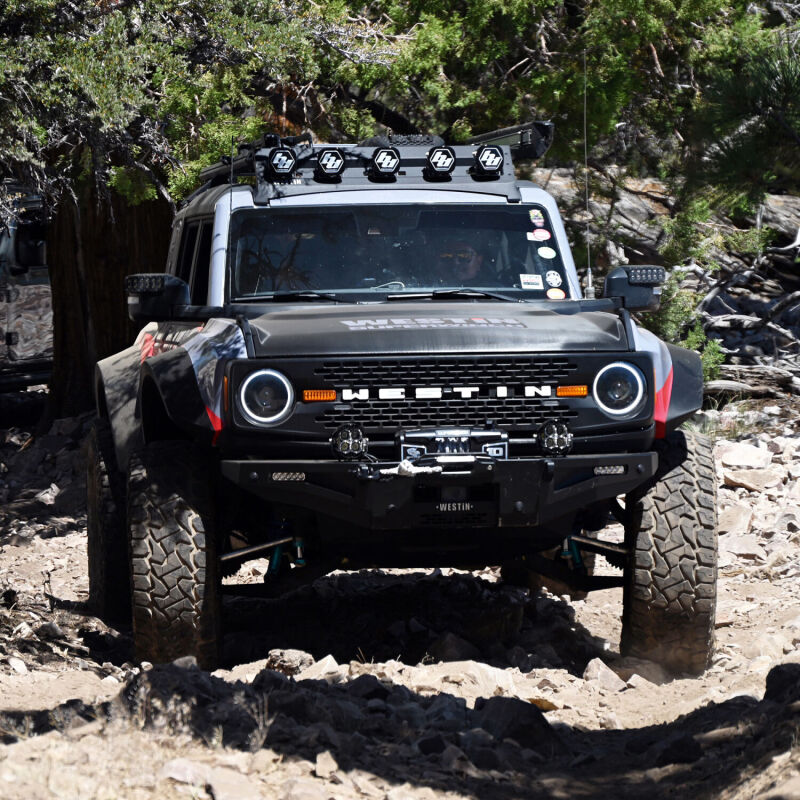 Superwinch Scorpion 10000SR Winch - 10,000 lb - Black