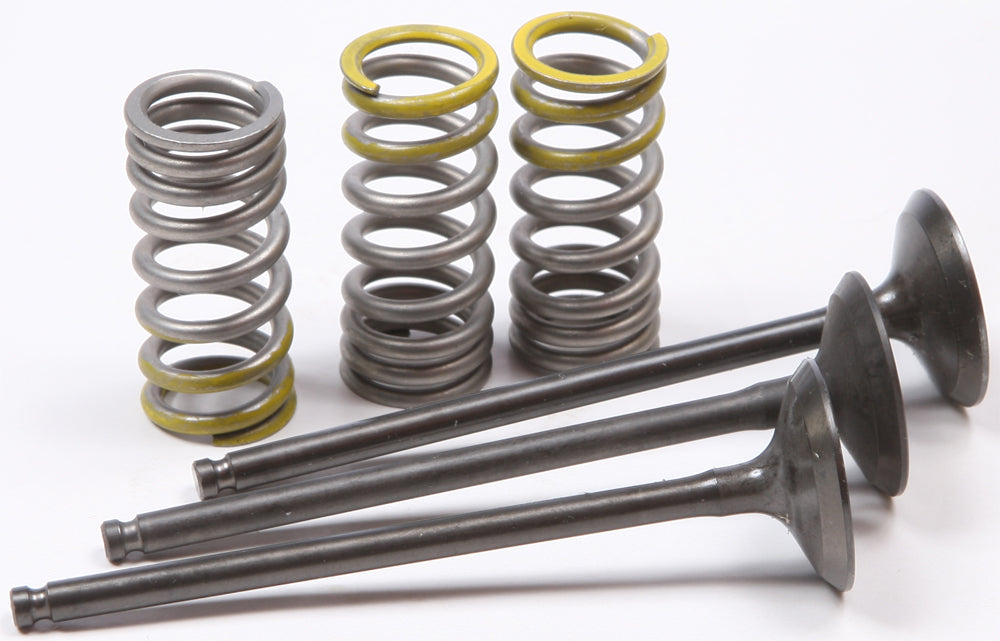ProX Steel Intake Spring Kit