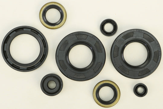 Vertex Engine Oil Seal Kit 822293