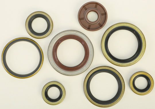 Vertex Engine Oil Seal Kit 822320