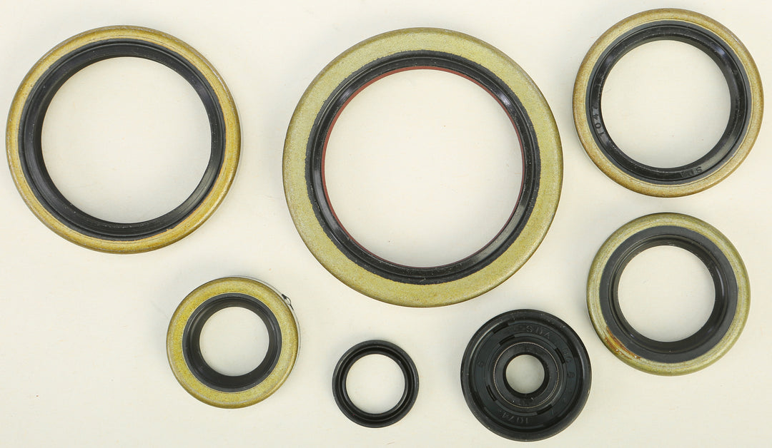 Vertex Engine Oil Seal Kit 822192