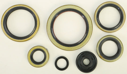 Vertex Engine Oil Seal Kit 822192