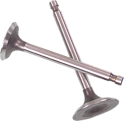 Shindy Intake and Exhaust Valve Set