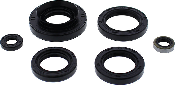 Vertex Engine Oil Seal Kit 822366