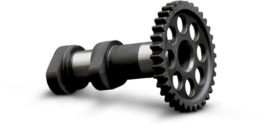 Hot Cams Racing Camshaft 1&2