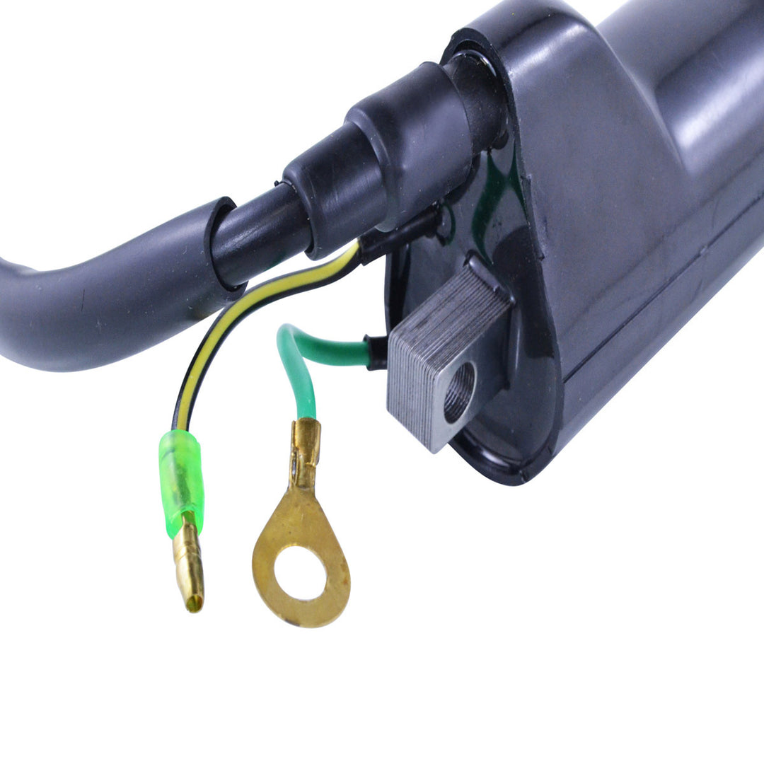 RM Stator External Ignition Coils
