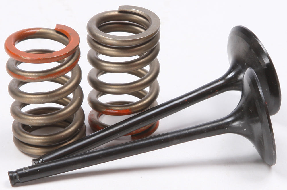 ProX Steel Intake Spring Kit