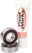 Pivot Works Wheel Bearing and Seal Kit