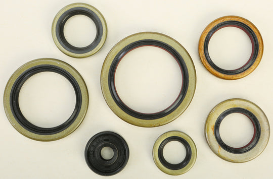 Vertex Engine Oil Seal Kit 822976