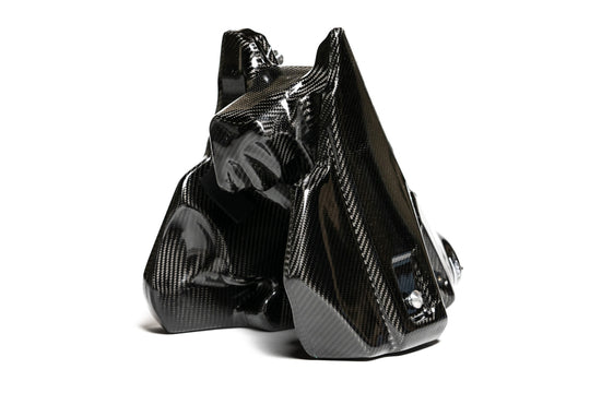 CMT Carbon Monoblock Tank - 24-26 KTM XC300