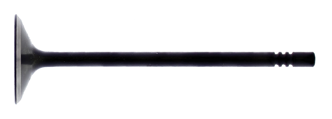 Hot Cams Intake Valve