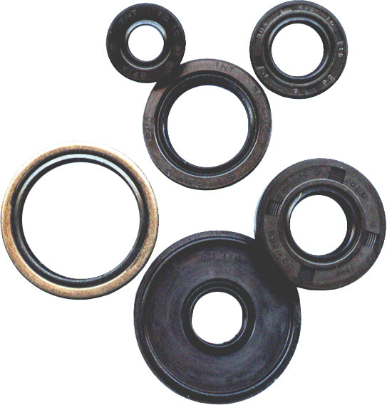Vertex Engine Oil Seal Kit