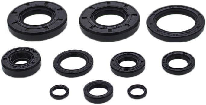 Vertex Engine Oil Seal Kit 822993