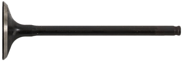 Hot Cams Intake Valve