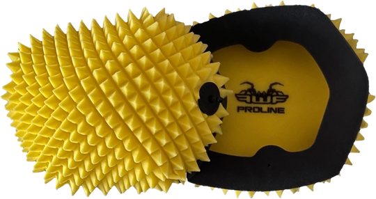 Funnelweb Air Filter FWF PRO 7771