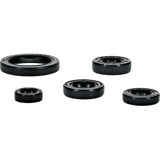 Vertex Oil Seal Set
