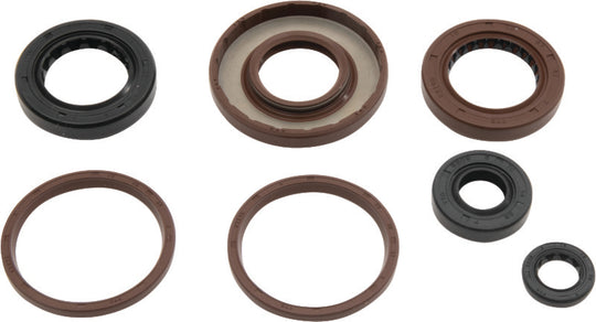 QuadBoss Arctic Cat DVX 300 Oil Seal Kit