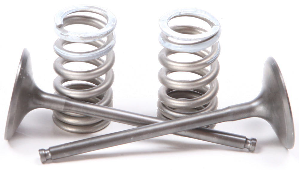 ProX Steel Intake Spring Kit