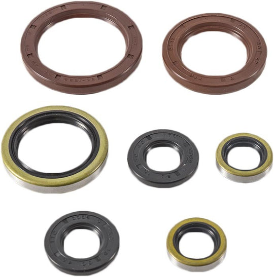 Vertex Engine Oil Seal Kit 822372