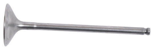 Hot Cams Exhaust Valve 8400036-1