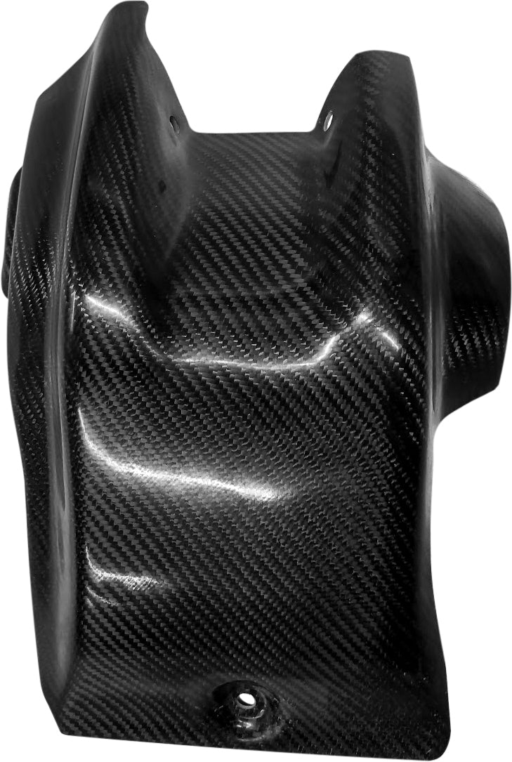 P3 Carbon Carbon Fiber Skid Plate 301093-19-E