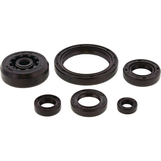 Vertex Engine Oil Seal Kit