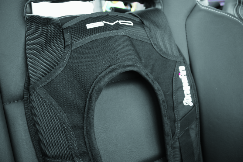 DragonFire Racing Harness Evo - Black