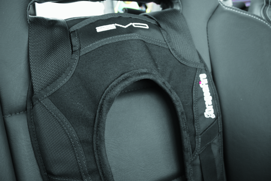 DragonFire Racing Harness Evo - Black