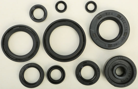 Vertex Engine Oil Seal Kit 822115