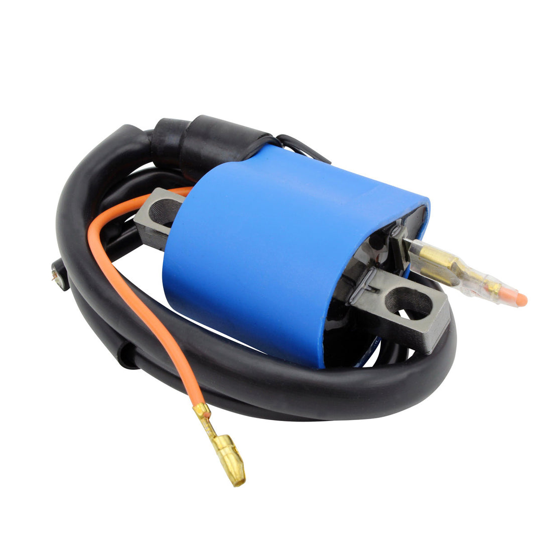 RM Stator External Ignition Coil