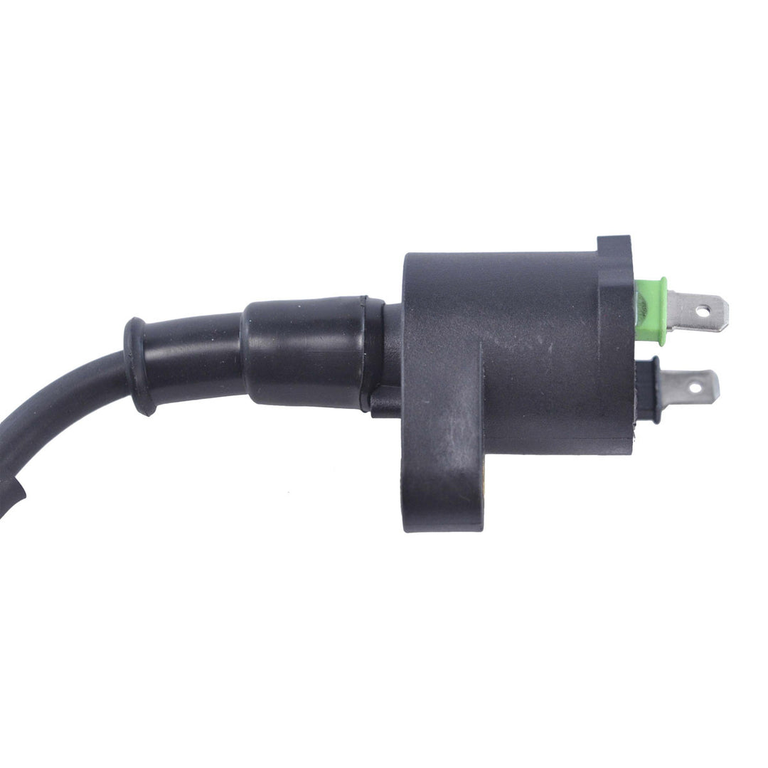RM Stator External Ignition Coils
