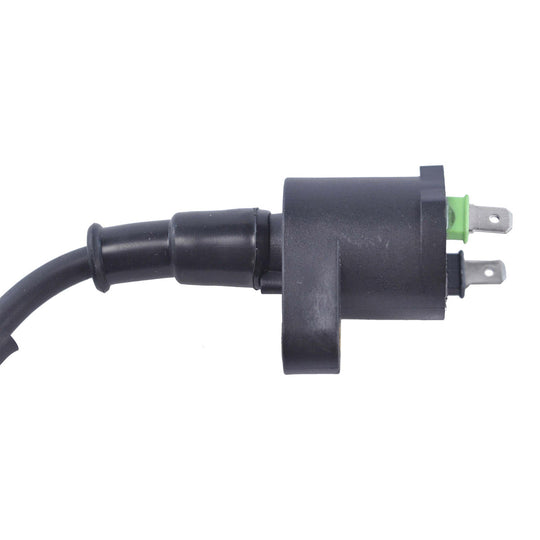RM Stator External Ignition Coils