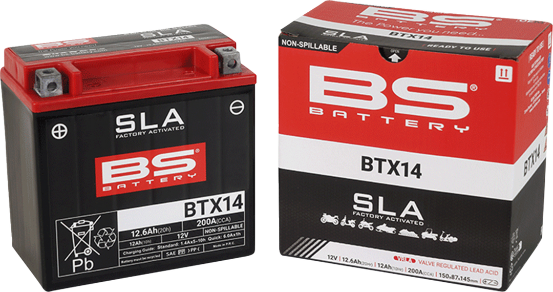 BS Battery Battery BTX14 (Ytx) - Honda Pioneer and More