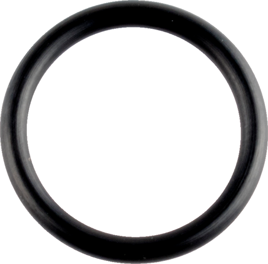 WSM Crankcase O-RING Sea Doo - Can-Am and More