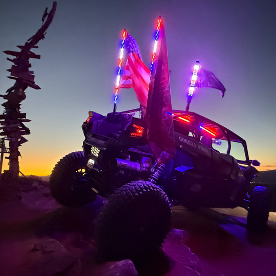 LED Whip Chunky Monkey Apex 22" Single Whip
