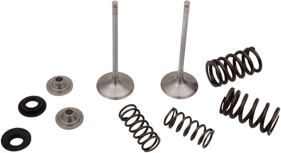 Moose Racing Valve And Spring Kit - Kawasaki KX250F 2017-2019