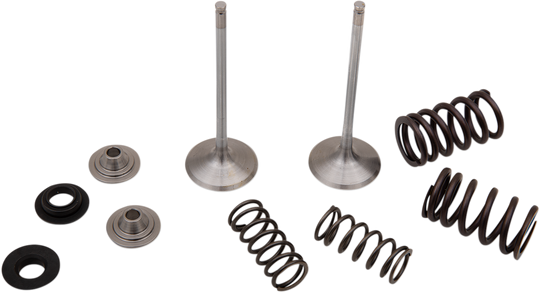 Moose Racing Valve And Spring Kit - Kawasaki KX250F 2017-2019