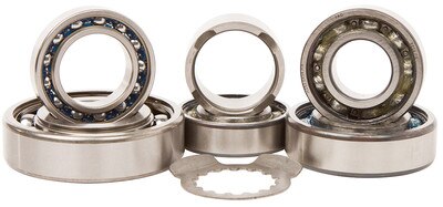 Hot Rods transmission bearing kit for Yamaha Raptor 700