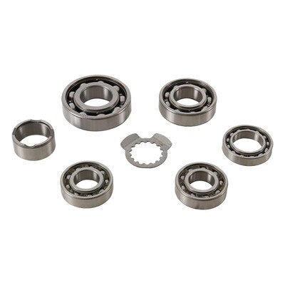 Hot Rods Raptor 700 transmission bearing kit contents